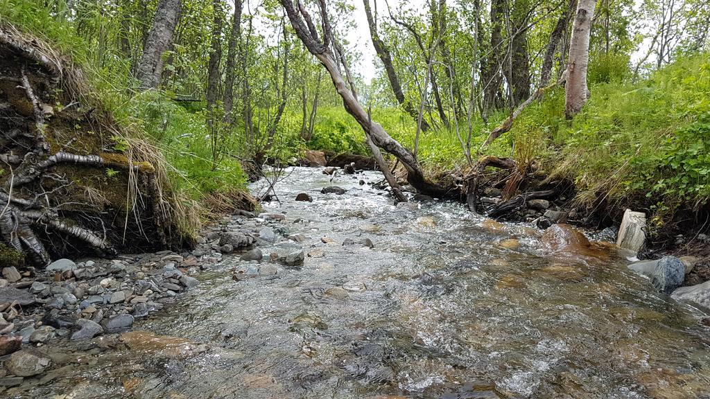 Gamtunet Lyngen Svensby Εξωτερικό φωτογραφία